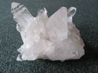 Druse388.jpg