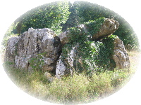 pratiques-energetiques-universelles-accueil.jpg